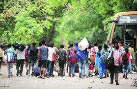 Migrant