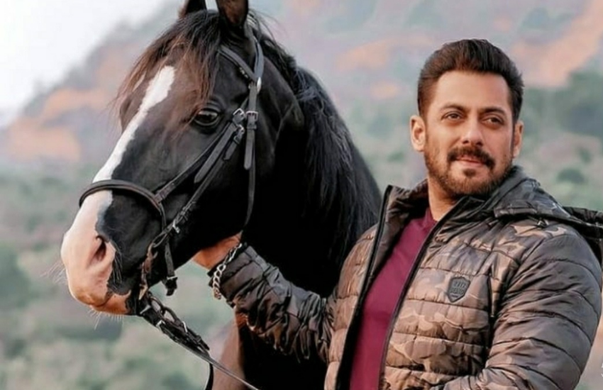Raj Kumar, Salman Khan