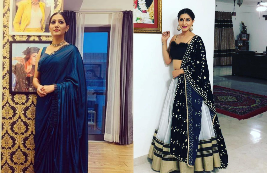 Sapna chaudhary, sapna chaudhary property