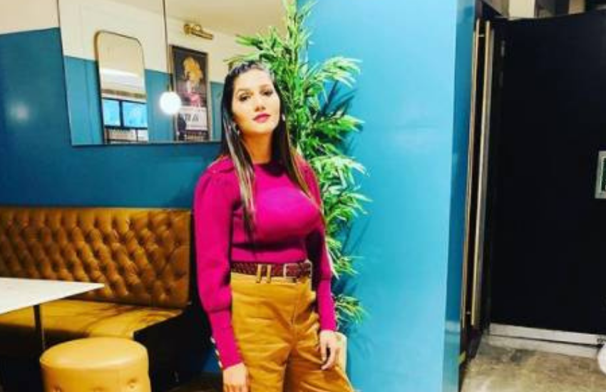 Sapna chaudhary, sapna chaudhary property