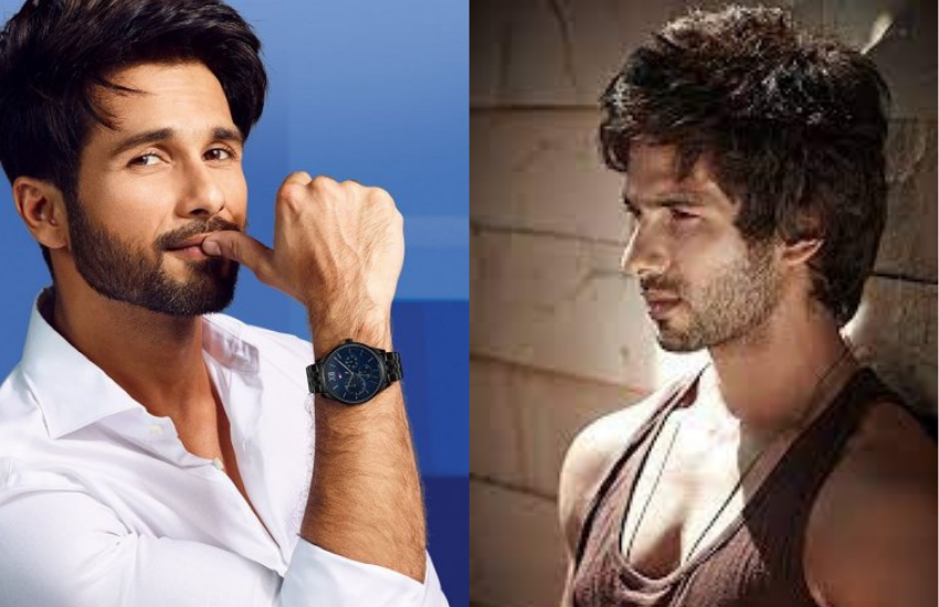 Shahid kapoor, raj kumar, Vastvikta