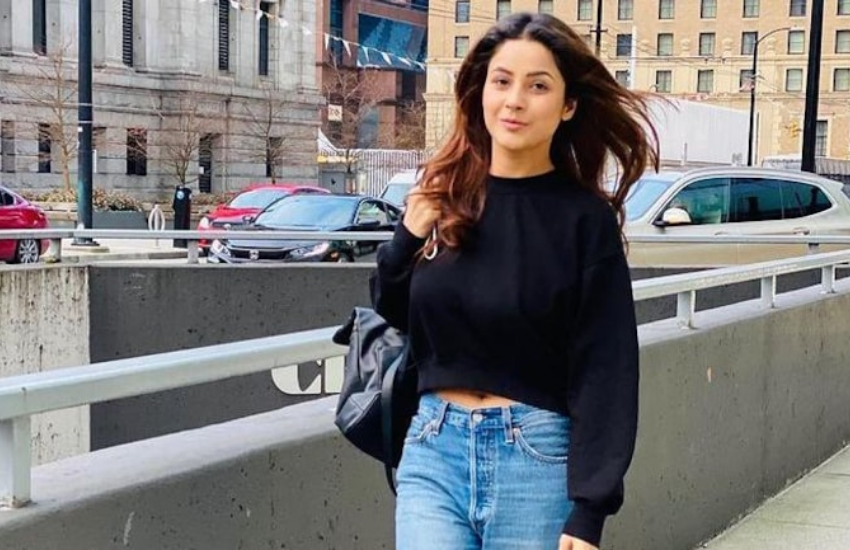 Shehnaaz Gill, Diljit Dosanjh