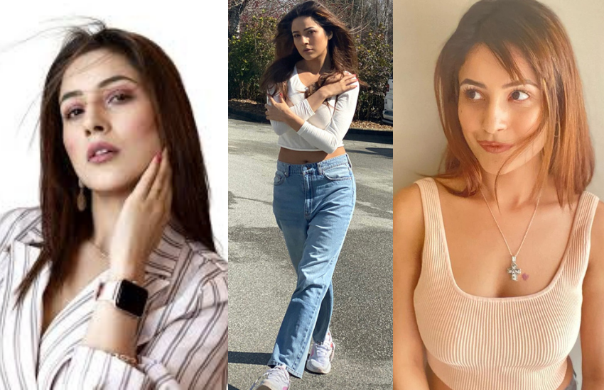 Shehnaaz Gill, Diljit Dosanjh