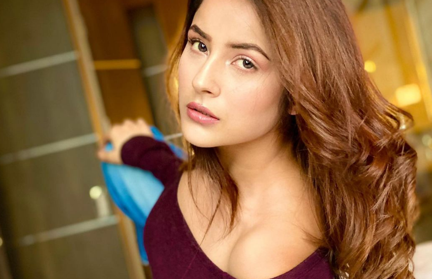 Shehnaaz Gill, Diljit Dosanjh