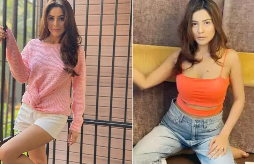 Shehnaaz Gill, Diljit Dosanjh