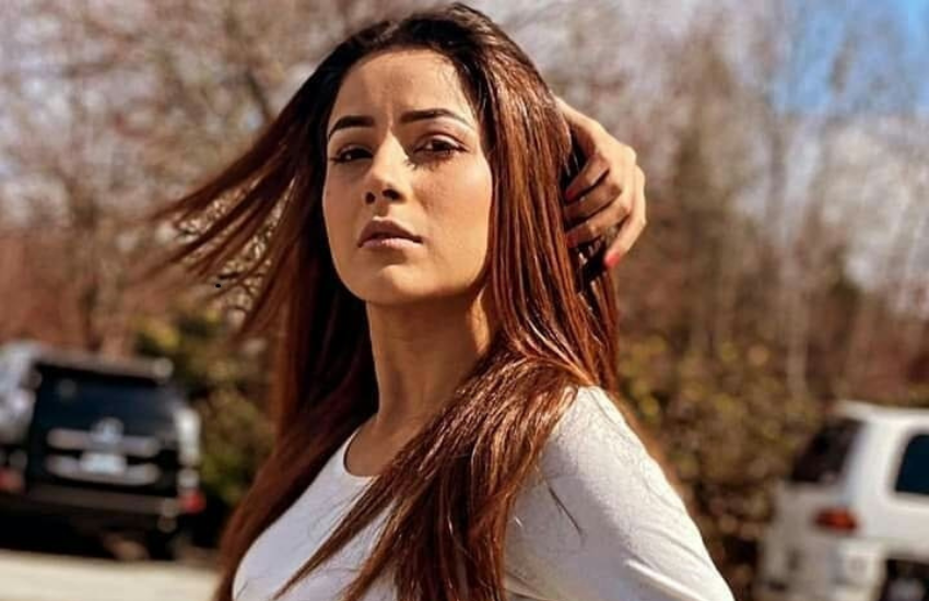 Shehnaaz Gill, Diljit Dosanjh