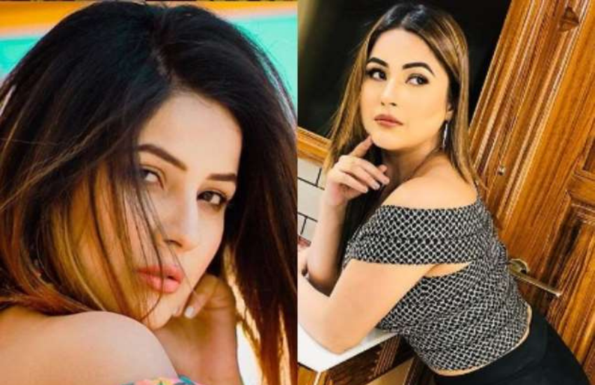 Shehnaaz Gill, Diljit Dosanjh