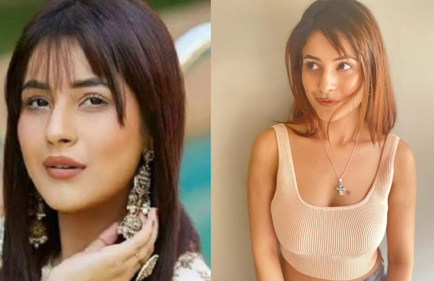 Shehnaaz Gill, Diljit Dosanjh