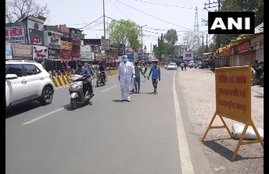 Corona, thief, Madhya Pradesh