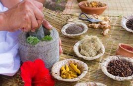 Coronavirus, coronavirus Ayurvedic treatment, Ayush Mantralaya, covid