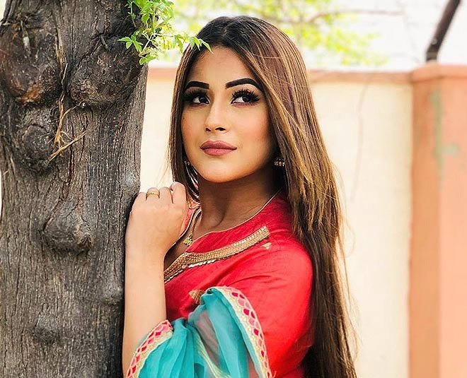 Shehnaaz Gill, Diljit Dosanjh