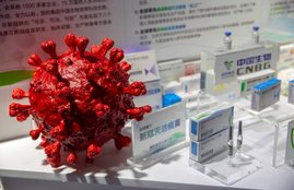 Coronavirus, Mutant Virus
