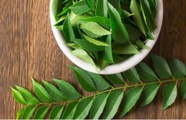 curry leaves, fatty liver, fatty liver disease