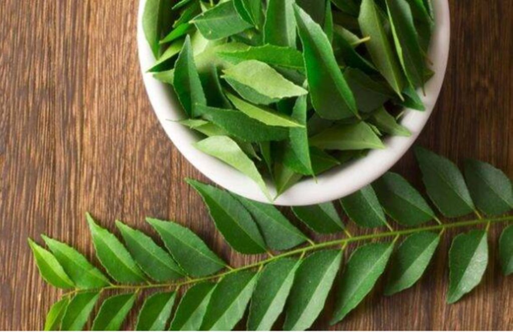 curry leaves, fatty liver, fatty liver disease