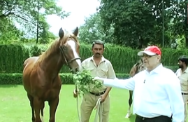 Corona Vaccines, Poonawala Family, Cyrus Poonawala, Horse Racing, SII CEO Adar,