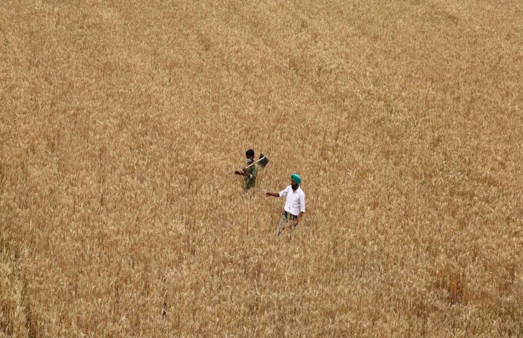 farmers, IFFCO