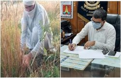 खेत में कांटते हैं गेहूं, IAS अफसर बनने के बाद भी रामवीर सिंह को रहा खेती का शौक