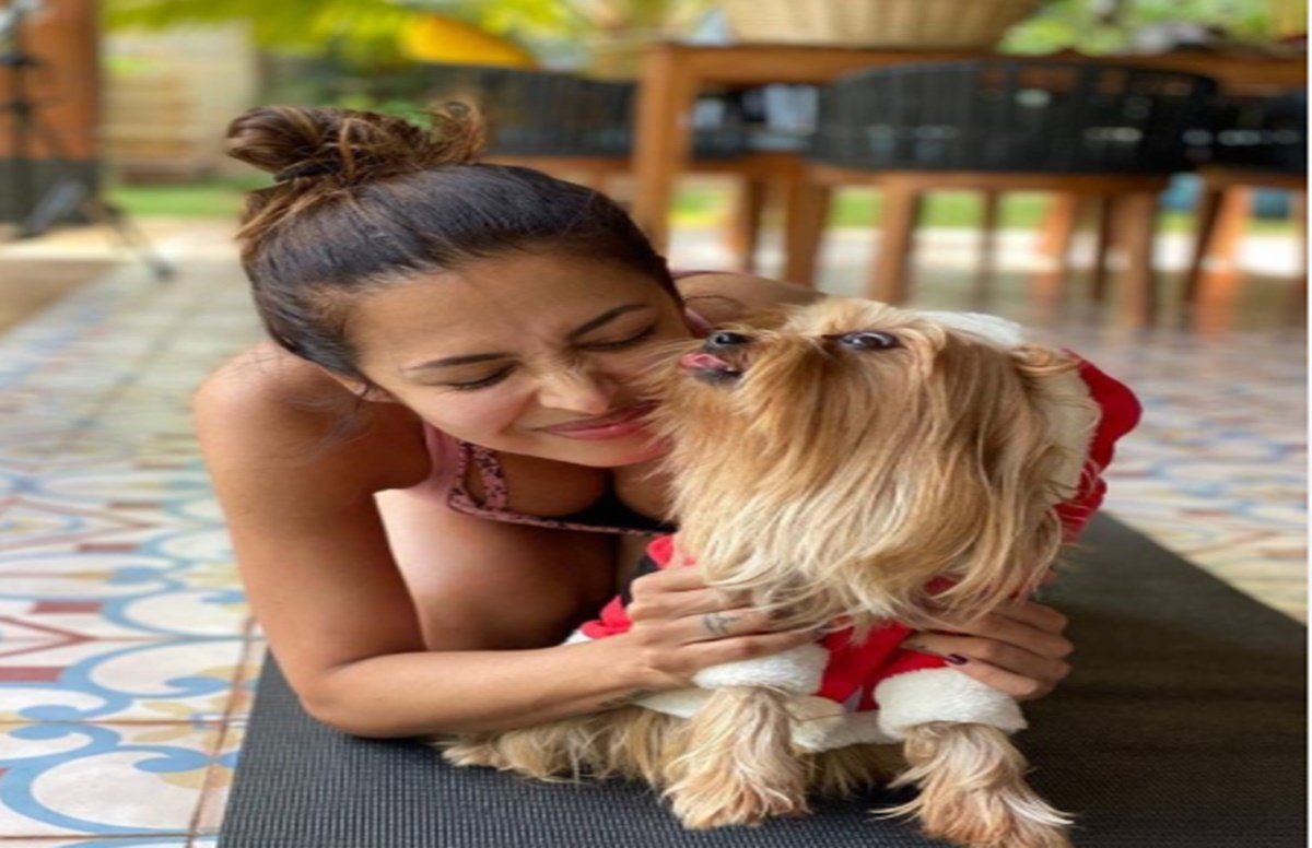 malaika arora, maharashtra lockdown, covid 19 maharashtra malaika arora, maharashtra lockdown, covid 19 maharashtra