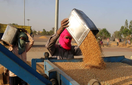 Punjab, Punjab Farmers, blank cheques, arhtiya demanding, BKU leader