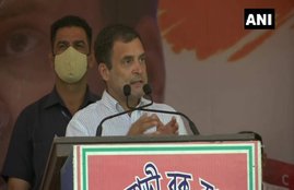 rahul gandhi, congress