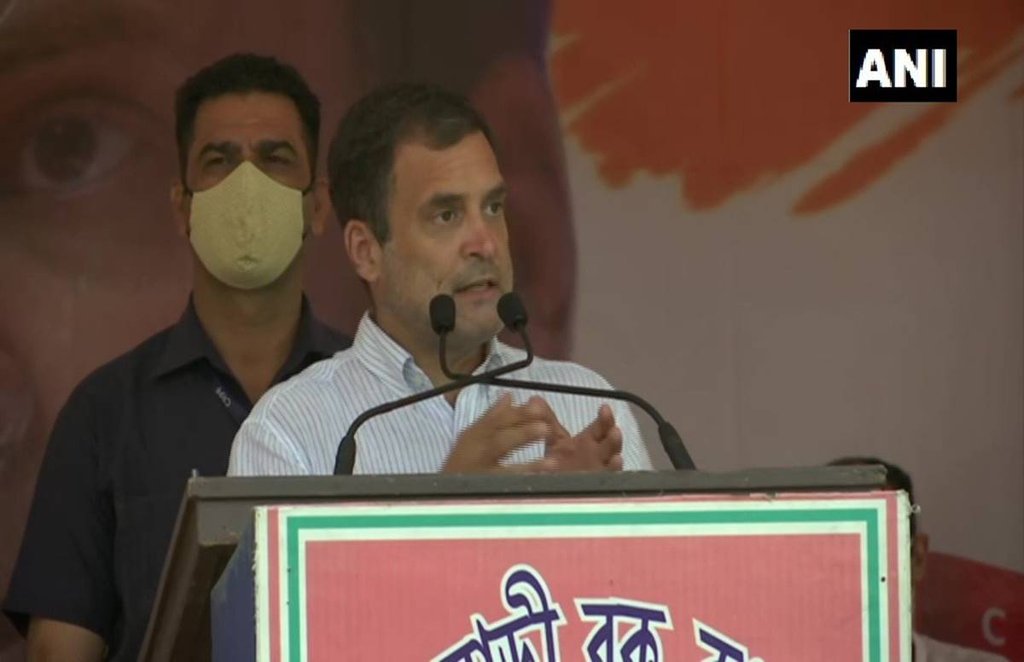 rahul gandhi, congress