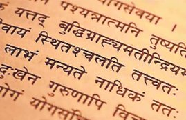 Language, Sanskrit