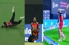 SRH vs RCB, Virat Kohli, Vijay Shankar