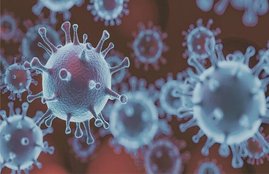 Covid-19, corona virus
