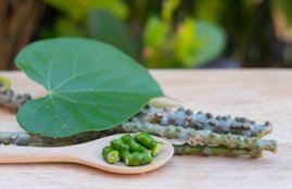 diabetes, neem giloy in diabetes, giloy juice