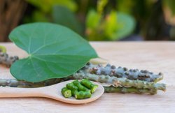 नीम और गिलोय से बना ड्रिंक शुगर कंट्रोल करने में है मददगार, जानें कौन-से जूस पी सकते हैं डायबिटीज रोगी