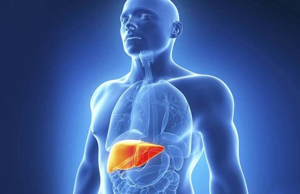 fatty liver, fatty liver symptoms, fatty liver precautions