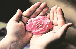 सबसे सुंदर हाथ