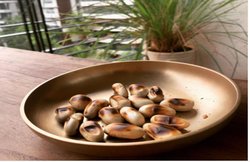 करीना कपूर की डायटीशियन ने बताए कटहल के बीज के फायदे, संक्रमण से लड़ने के साथ ही इम्युनिटी को भी करता है बूस्ट