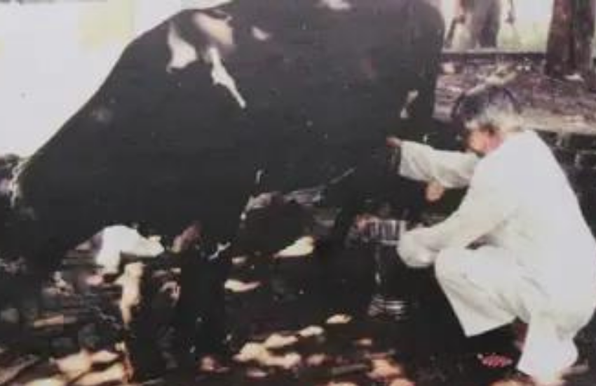 Lalu Prasad Yadav