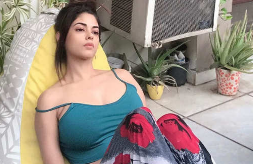 Priyanka Chopra, Meera Chopra