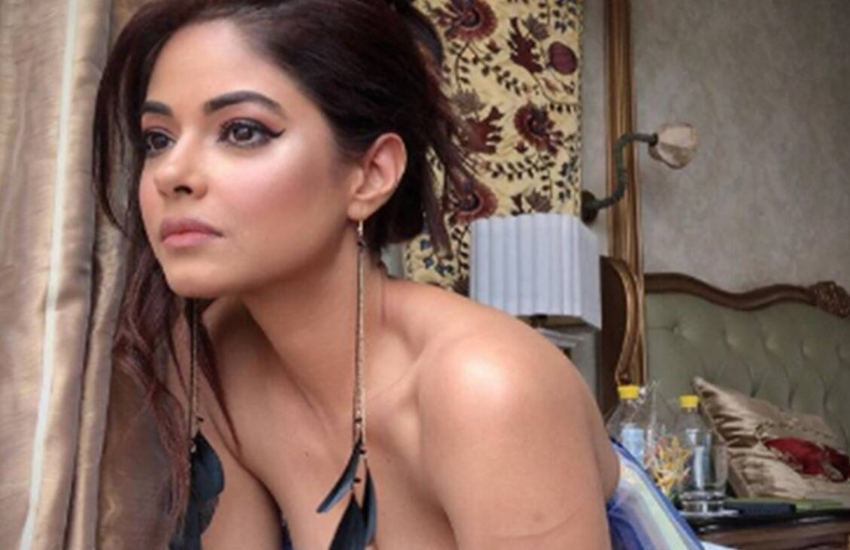 Priyanka Chopra, Meera Chopra