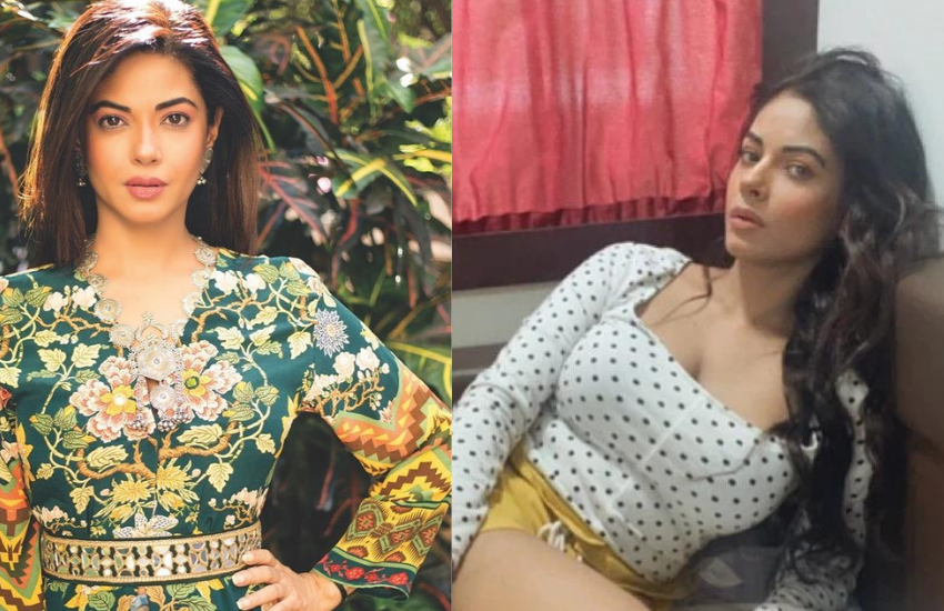 Priyanka Chopra, Meera Chopra