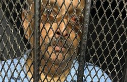 एंटीगुआ के पीएम बोले- चोकसी अपनी गर्लफ्रेंड के साथ तफरीह करने गया था डोमेनिका