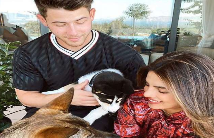 Priyanka Chopra, Nick Jonas