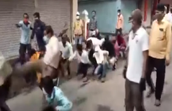 एमपीः तहसीलदार ने कर्फ्यू तोड़ने वालों का निकाला जुलूस, मेढ़क न बन पाने पर मारी लात, बोली कांग्रेस- एक्शन नहीं तो होगा मुंह काला