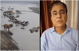 uttar pradesh, covid 19, ganga body floting, sanjay singh, SP singh, AAP, BJP, yogi adityanath, national news, jansatta