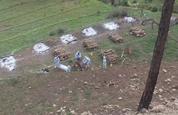 खेतों में जलाई जा रहीं लाशें, कोरोना से उत्तराखंड भी बेहाल