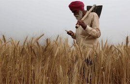 farmers, coronavirus, farm laws