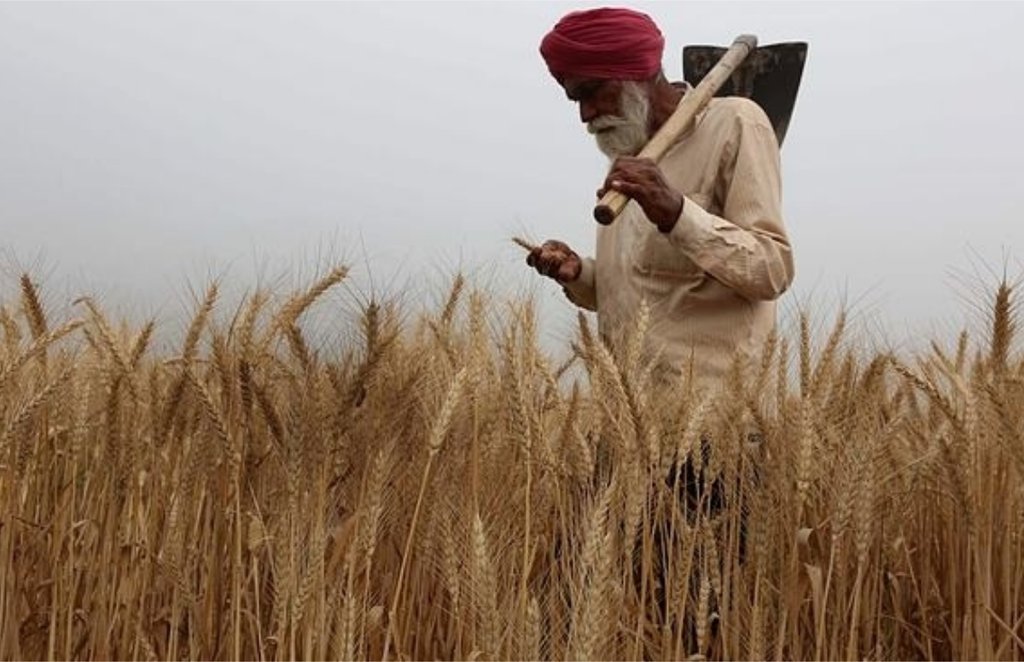 farmers, coronavirus, farm laws