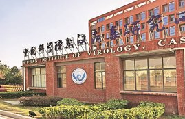 China, Covid-19,