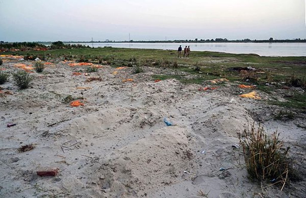 corona virus , ganga corona virus , ganga
