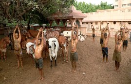 Gujarat, Coronavirus, Immunity