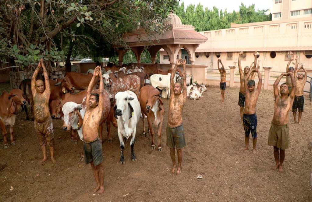 Gujarat, Coronavirus, Immunity