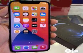 iphone 12 pro, Apple iphone Second hand, iphone 12 on olx,