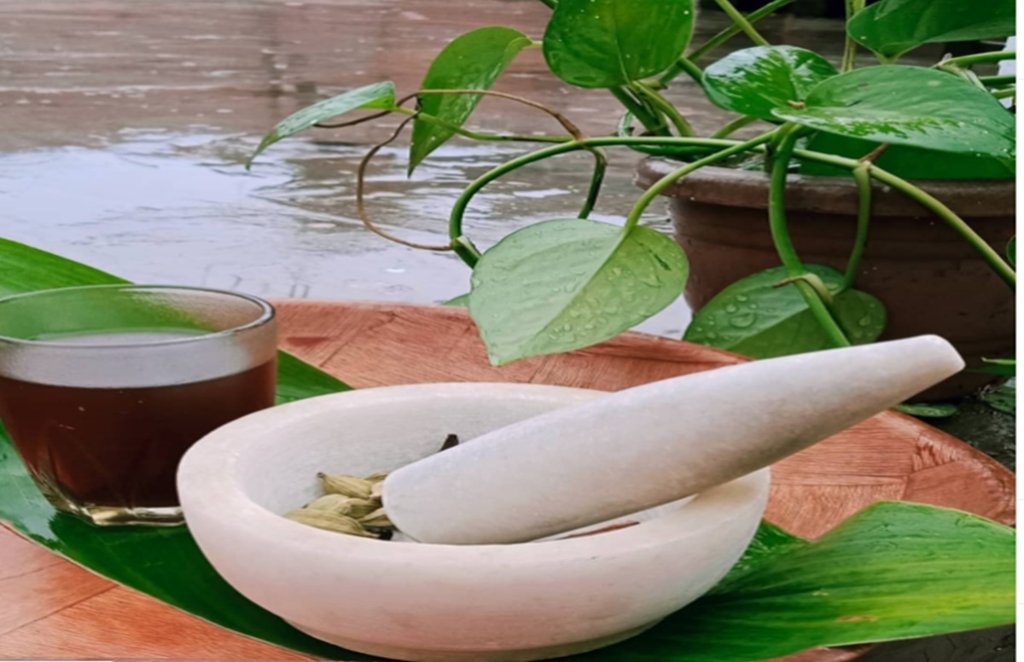 typhoid, ayurvedic kadha, immunity booster kadha